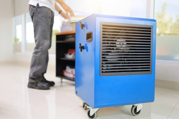 Mold Documentation for Insurance Claims in Sealy, TX