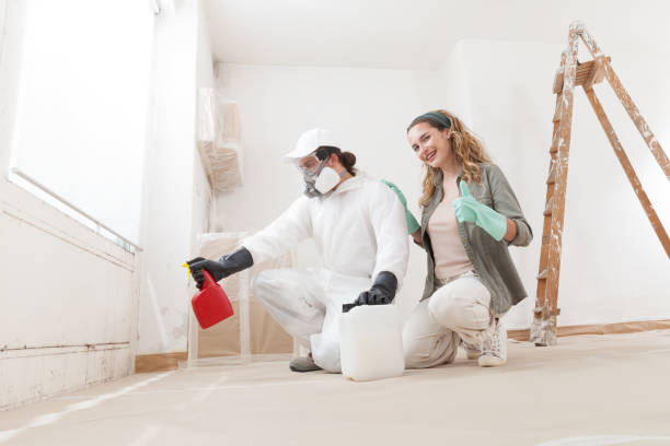 Dehumidification Services in Sealy, TX
